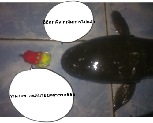 และแล้วหนูก็จากเราไป