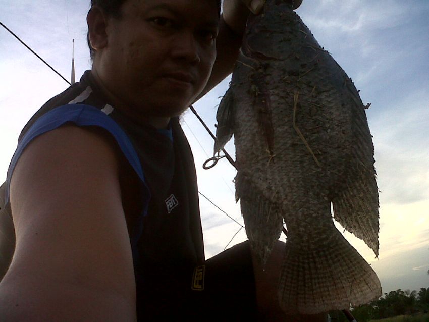 เบื่อหน้าปลาช่อน ^^