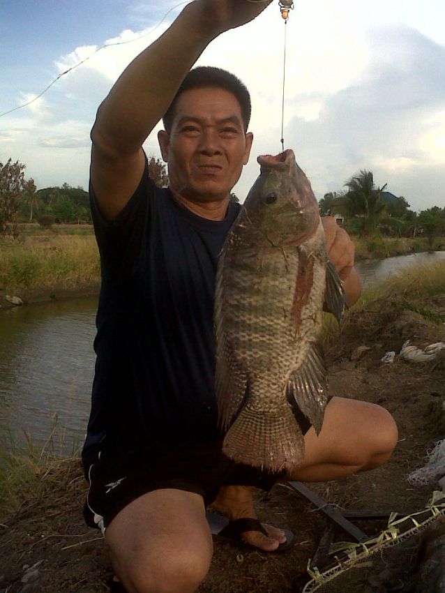 เบื่อหน้าปลาช่อน ^^