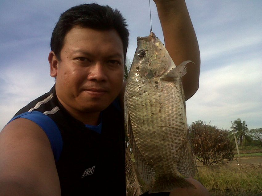 เบื่อหน้าปลาช่อน ^^