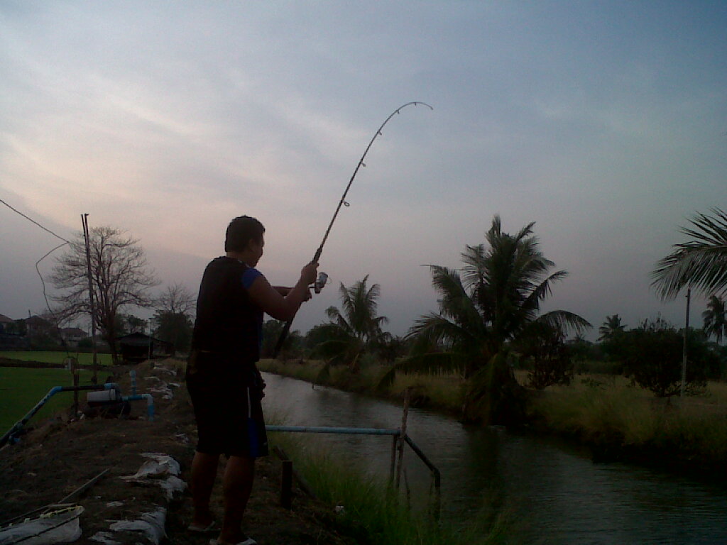 เบื่อหน้าปลาช่อน ^^