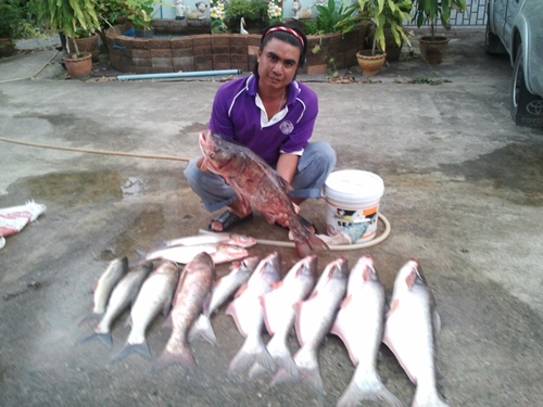 Small Gub Fishing Team บ่อดิน ***ภาค3***