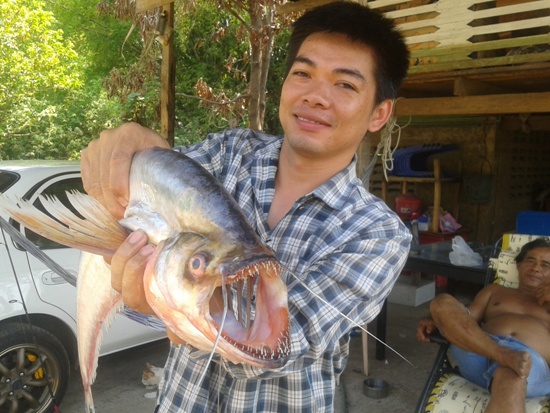 เมื่อผู้ล่าเป็นผู้ถูกล่า