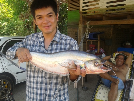 เมื่อผู้ล่าเป็นผู้ถูกล่า