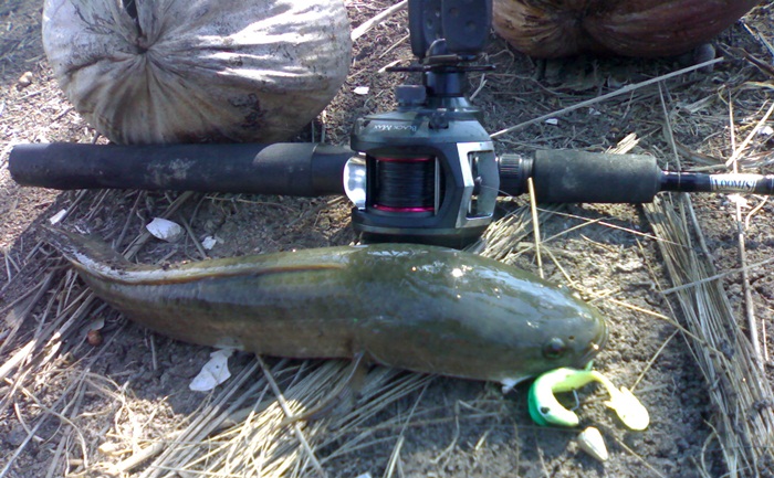 TEXAS RIG คลองหน้าบ้านครับ