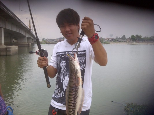 ไอ้โดมาไงเนี่ย