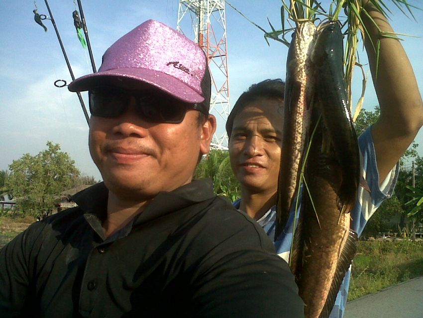 ศรัทธา+ปลายาง