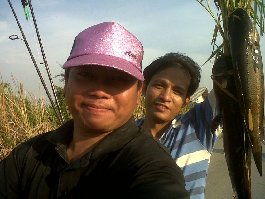 ศรัทธา+ปลายาง