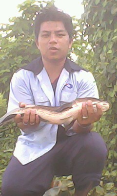 จัดหนักที่เจ้าปลุกสำพะเนียง