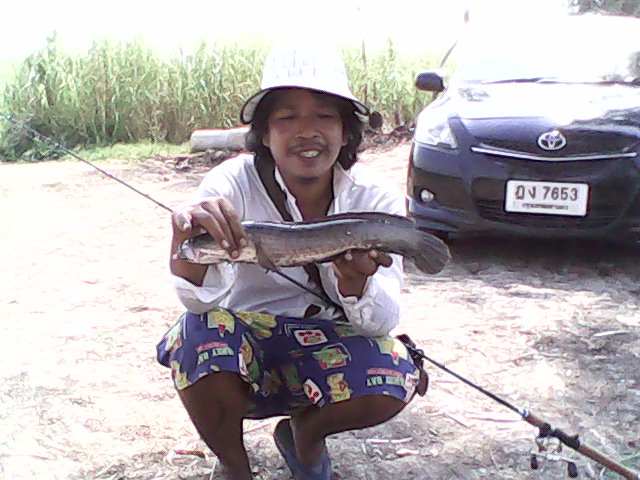 จัดหนักที่เจ้าปลุกสำพะเนียง