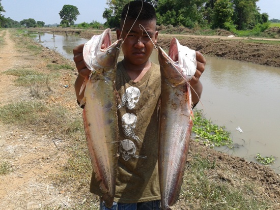 เมื่อเค้า......เข้าคู่