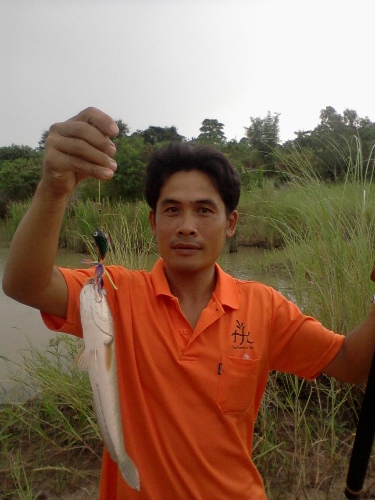 ตามสัญญาเมื่อวาน.....tw+mac fishing