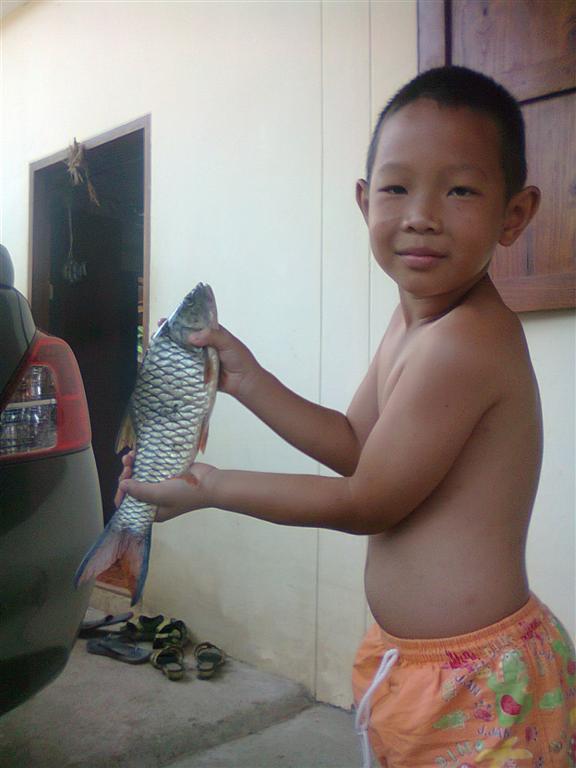 กระสูบ อ.บ้านตาก จ.ตาก