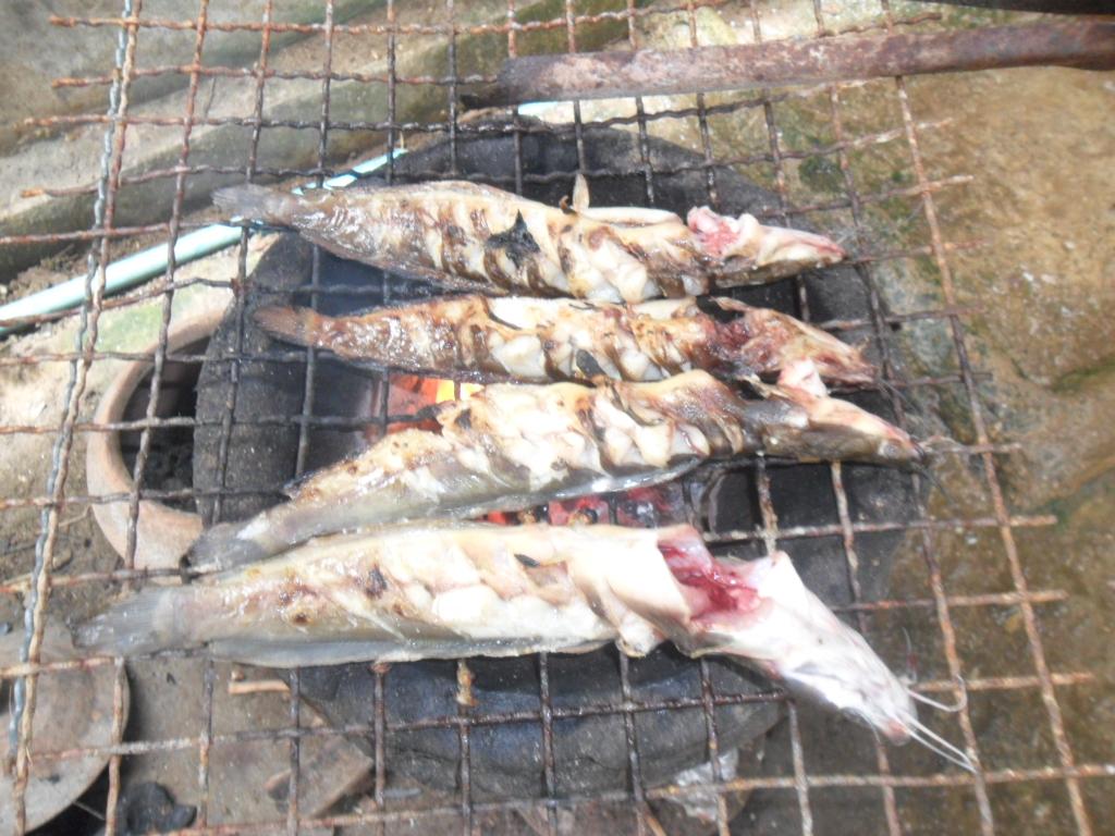 เปลี่ยนแนวมั่งครับวันนี้