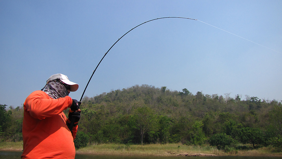 ถามเซียน daiwa ครับ