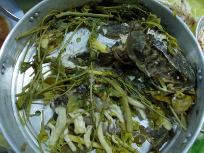 อีกเมื้อ กับ"ปลาค่อ(ช่อน)