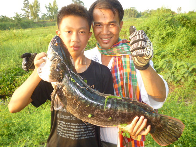 รวมทริปชะโด