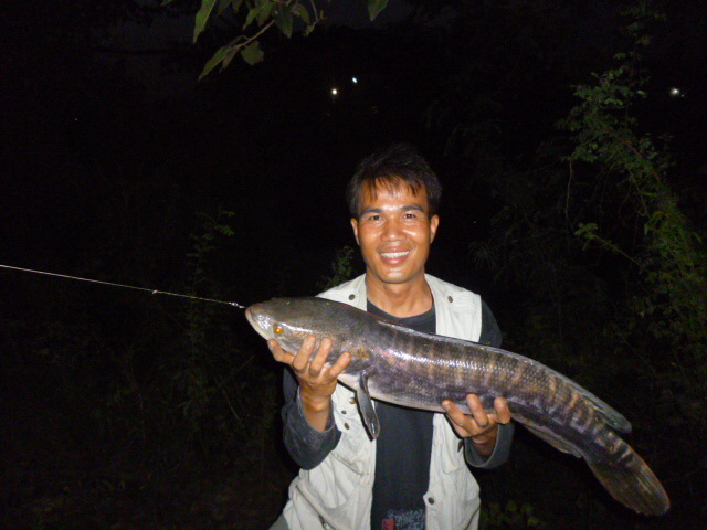 รวมทริปชะโด
