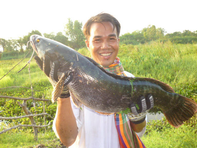 รวมทริปชะโด