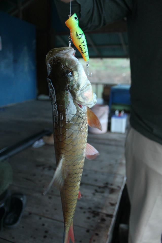 Test POPPER UNC