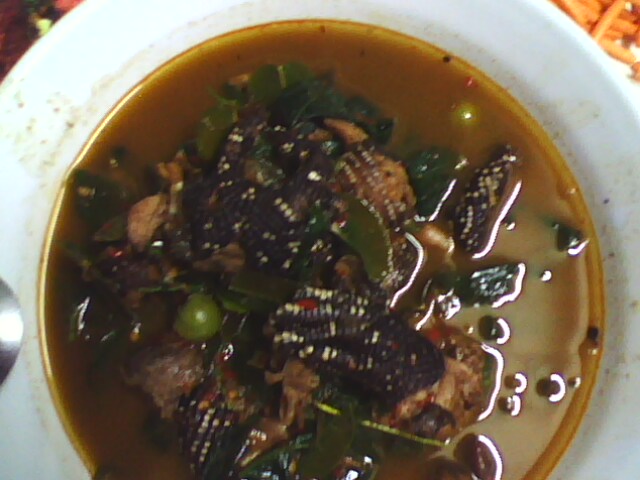 แกงอ่อมแลนใบดีฟานคับ