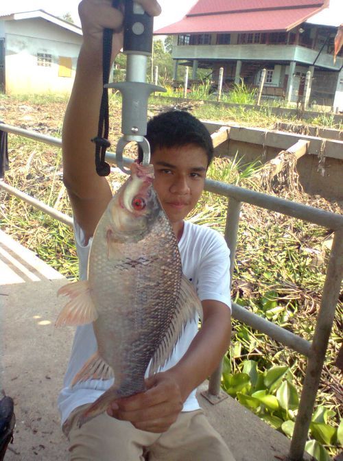 ลองย่อรูปคับ