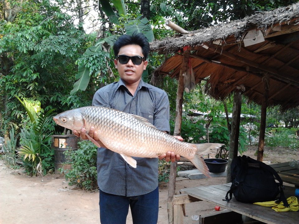ar com กระโดด