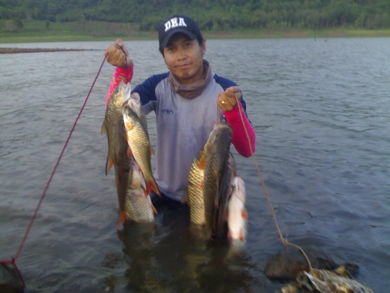 กระสูบชายฝั่งสียัด 2