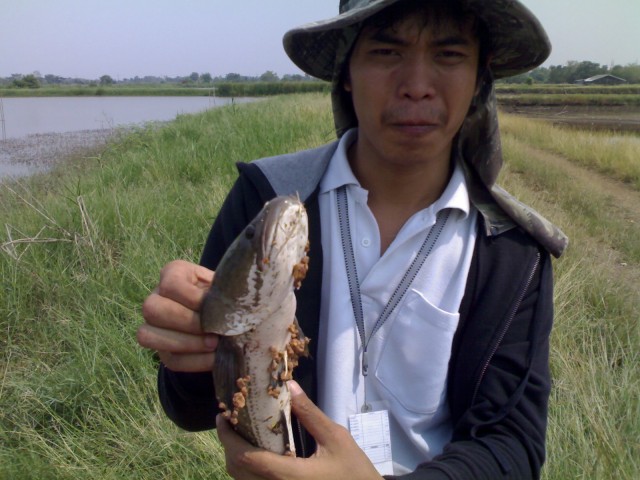 รอมานาน 31นี้ เจอกันหน่อย