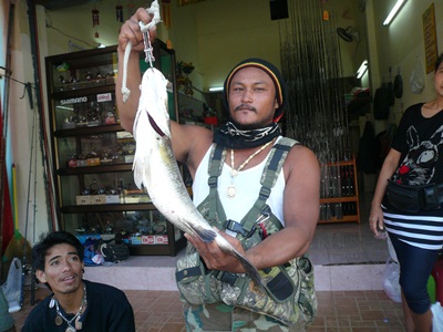 กระพง....หลงทาง  กัดกบโดด
