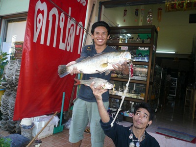 กระพง....หลงทาง  กัดกบโดด