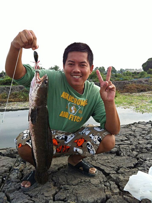 ลองเปลียนแนวรวมๆ