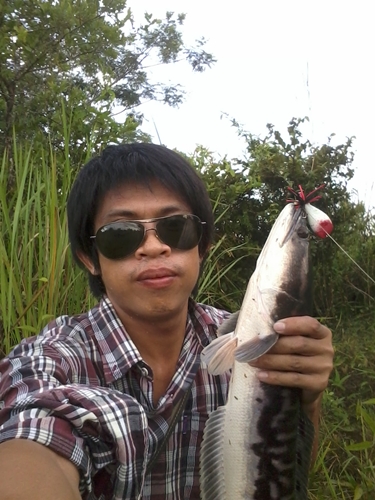 เมื่อเย็นวานนี้......