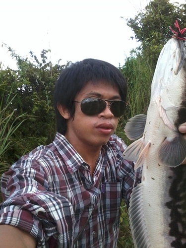 เมื่อเย็นวานนี้......