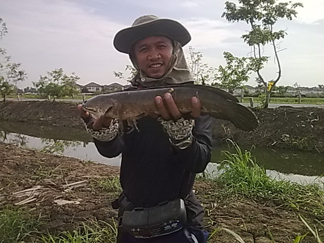 ไปแก้แค้นมา 