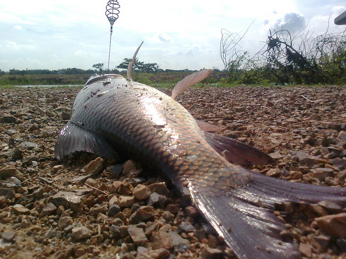 รถถังเมื่อเช้านี้ สดๆร้อนๆ