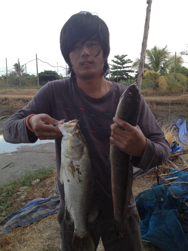 โอ้วแม่เจ้า!กระพงกัด สกัมฟ๊อก