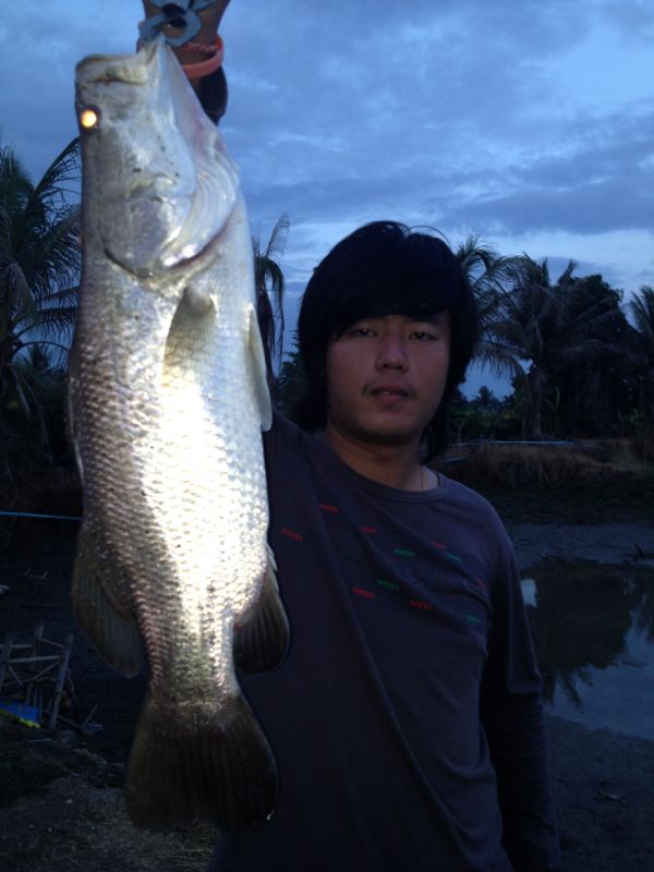 โอ้วแม่เจ้า!กระพงกัด สกัมฟ๊อก
