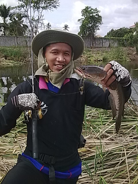 ช่อนบางใหญ่ by ดองเค็ม