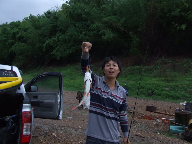 กระสูบแพร่...วันฝนพรำ.....