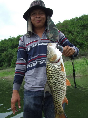 กระสูบแพร่...วันฝนพรำ.....