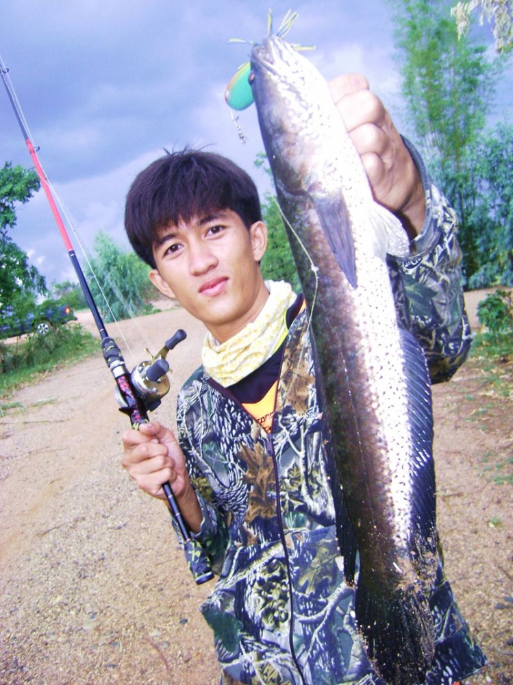 ช่อนยามว่างๆ