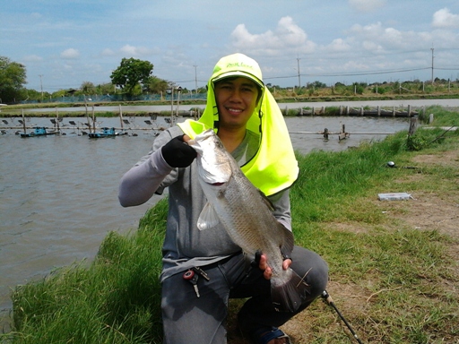 Test action......jcs lure