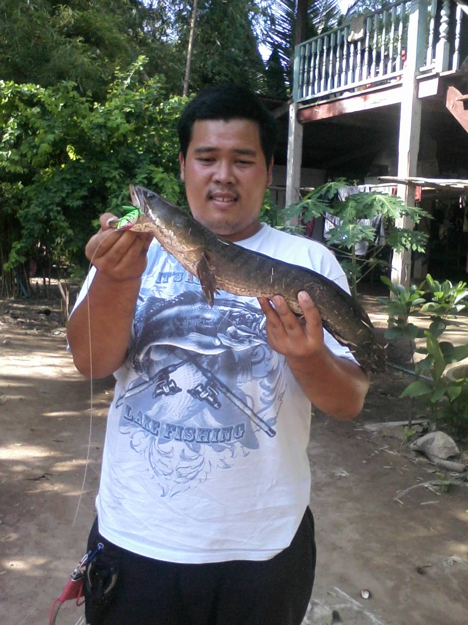 ช่อน โด สิงห์บุรี รวม รวม