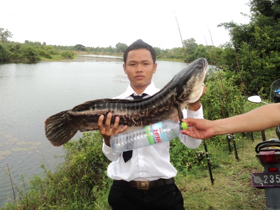 มันมาอีกแล้ว