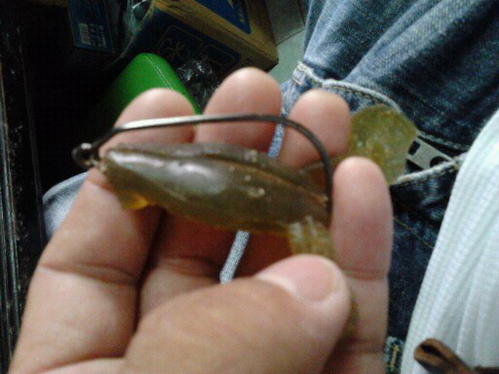เทสกบ"ชง"..โมใหม่คร้าบ..เจ้านาย..อิ อิ อิ