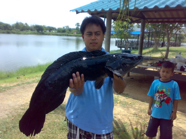  ยักษ์