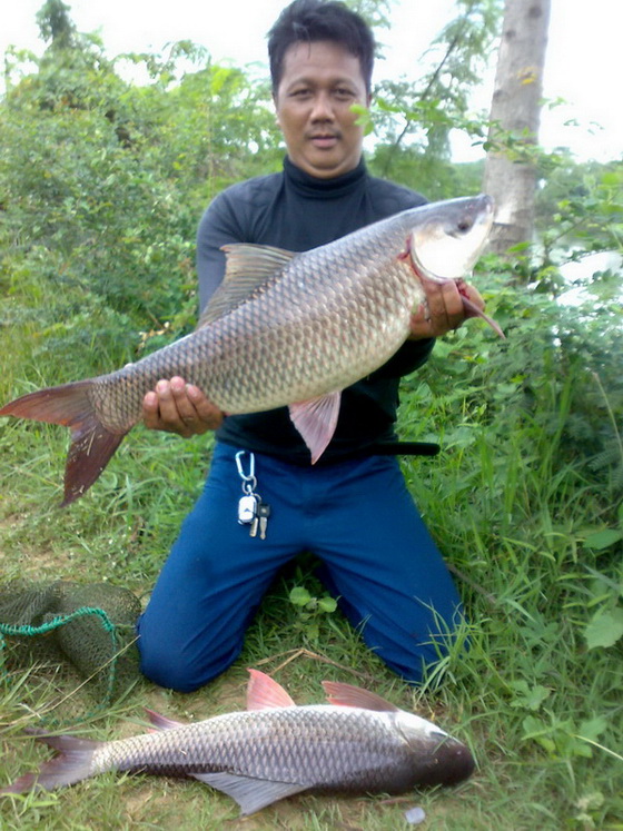  ยักษ์