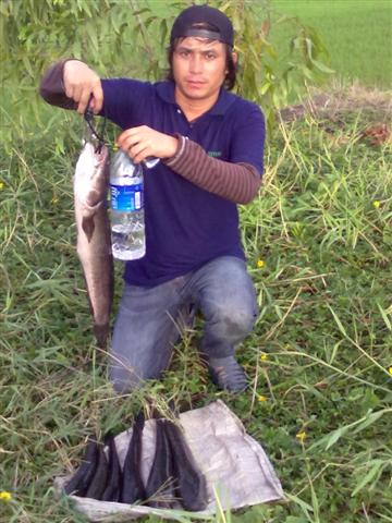 ล้างอาย..