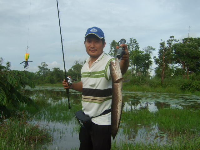 ศุกร์ แห่งความ สุข